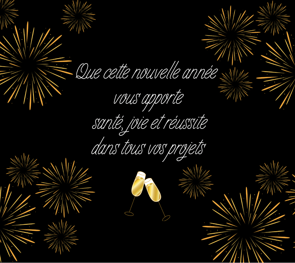 Joyeux Noël et Bonne Année - 🦌 Furie